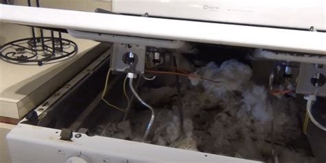 mouse living in stove
